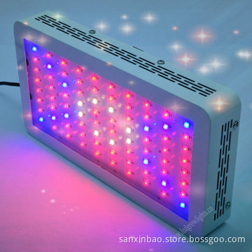 Evergrow LED Grow Light Used by Hydroponic & Garden Centers